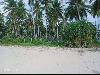 Beach Lot for Sale in San Vicente Palawan